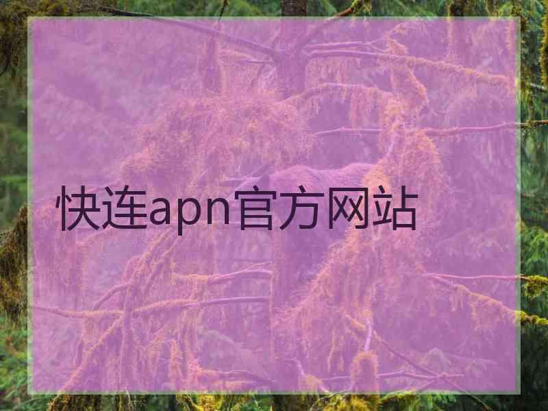 快连apn官方网站