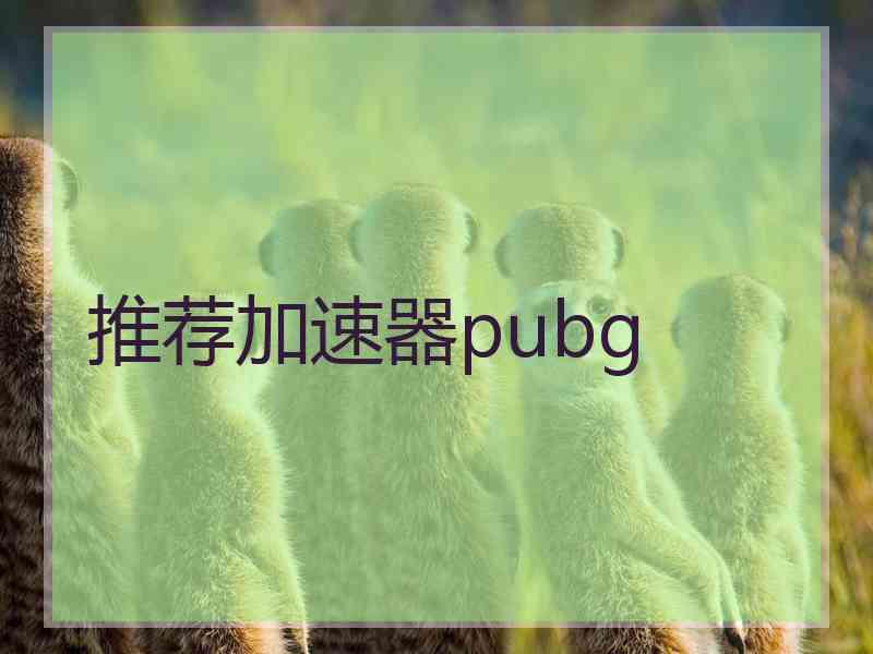 推荐加速器pubg