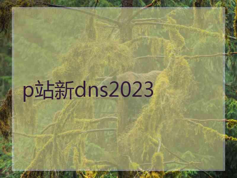 p站新dns2023