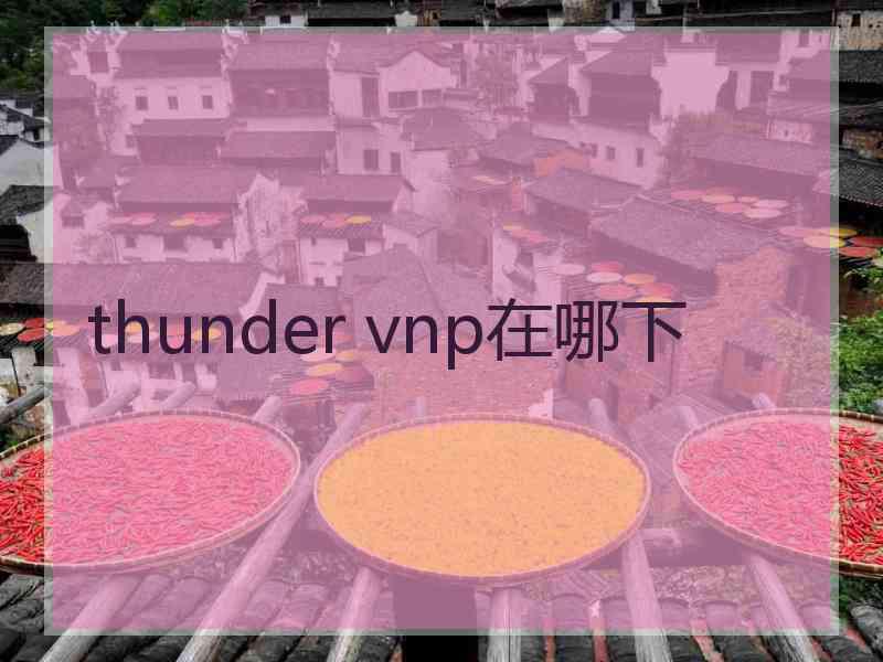 thunder vnp在哪下