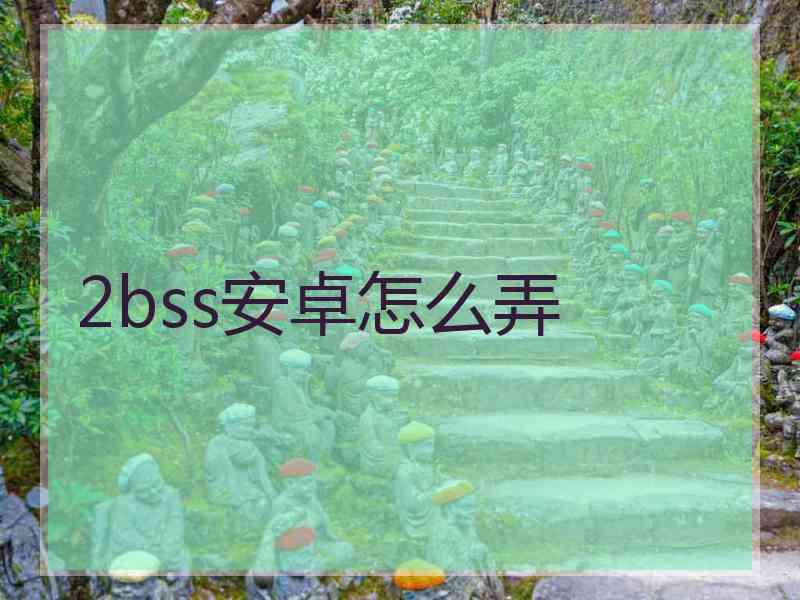 2bss安卓怎么弄