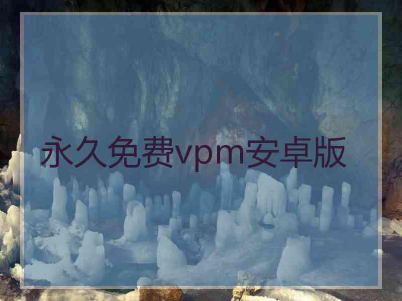 永久免费vpm安卓版