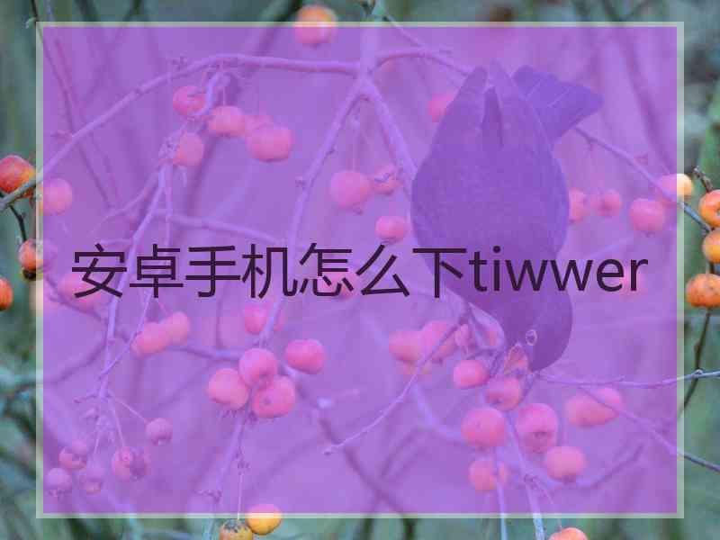 安卓手机怎么下tiwwer