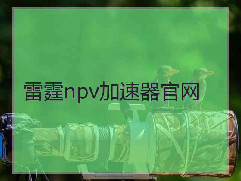 雷霆npv加速器官网