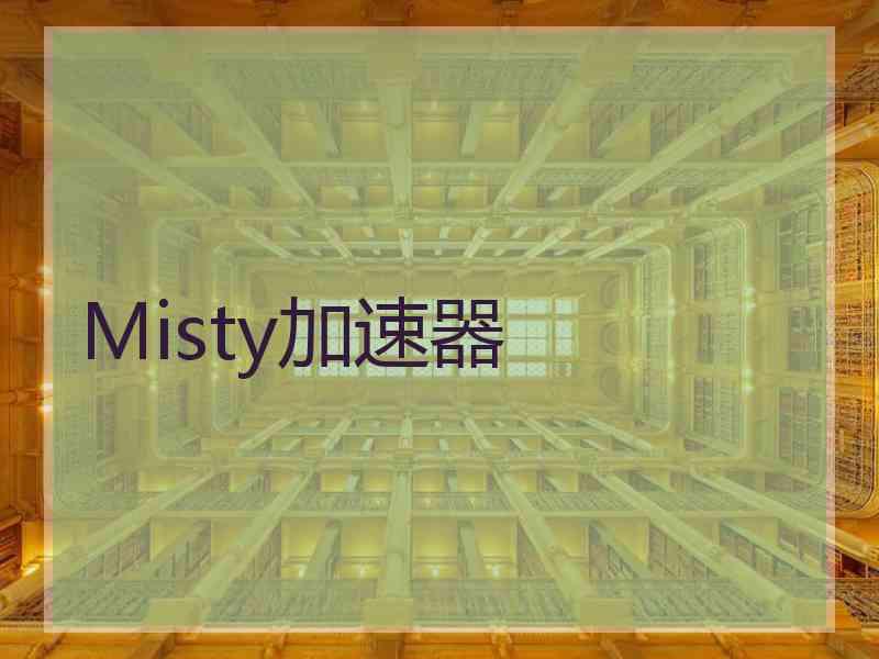 Misty加速器