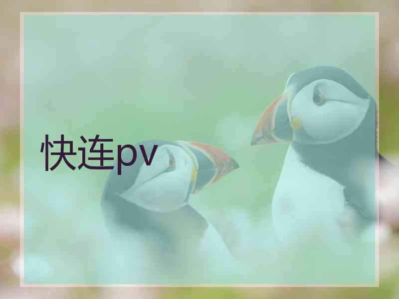 快连pv