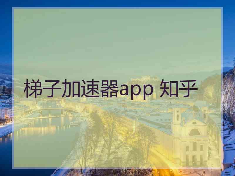 梯子加速器app 知乎