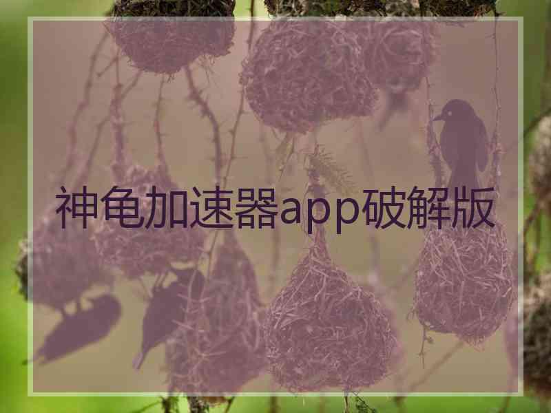 神龟加速器app破解版