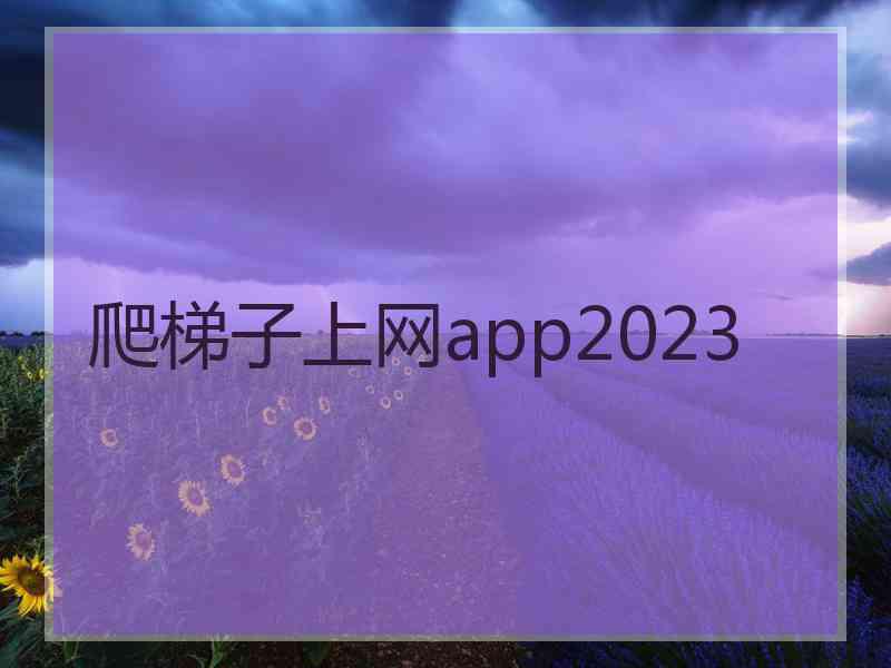 爬梯子上网app2023