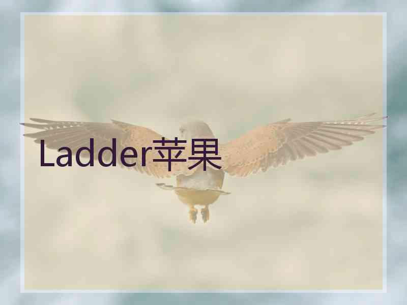 Ladder苹果