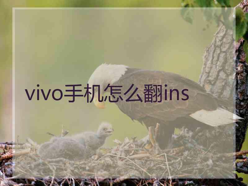 vivo手机怎么翻ins