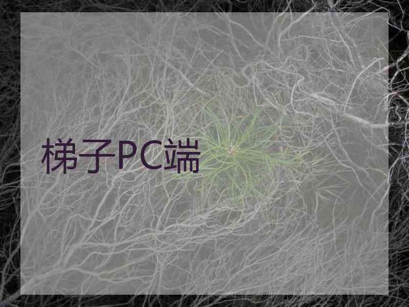 梯子PC端