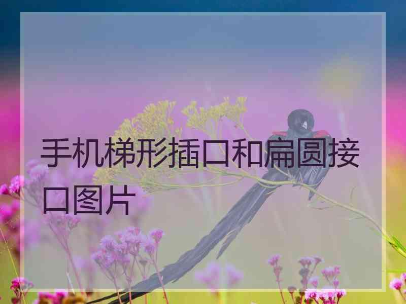 手机梯形插口和扁圆接口图片