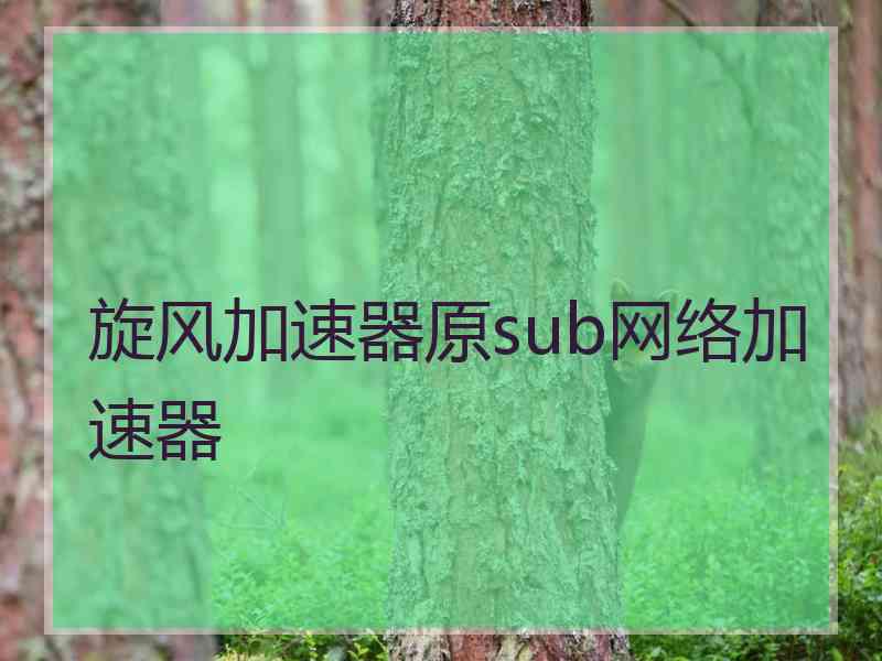 旋风加速器原sub网络加速器